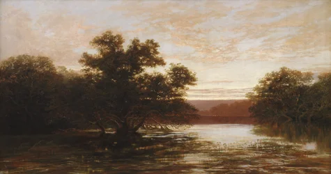 Una mangrovia australiana, bassa marea